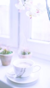 サボテンとコーヒー1