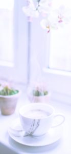 サボテンとコーヒー1