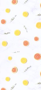 オレンジとレモンの輪切り1