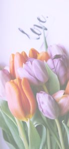 オレンジと紫のチューリップ4