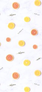 輪切りのオレンジとレモン2