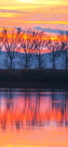 冬のサンセット1