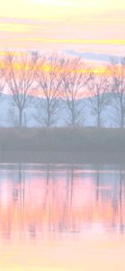 冬のサンセット2