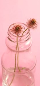 瓶に挿したピンクの花1