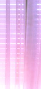 ピンクのカーテン2