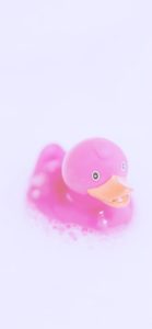 ピンクのあひるのおもちゃ4