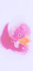 ピンクのあひるのおもちゃ1