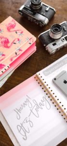 フラミンゴのノートとカメラ2