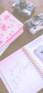 フラミンゴのノートとカメラ1