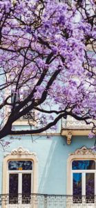 ピンクの花と水色の家2