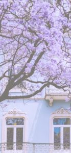 ピンクの花と水色の家1