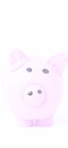 ピンクのブタのぬいぐるみ1