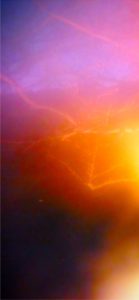 ピンクのライト1