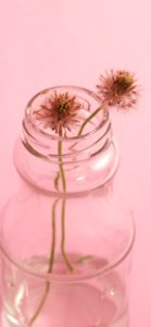 瓶に挿したピンクの花