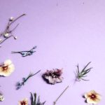 iPhone11・iPhoneXrのシンプルな紫の無料壁紙