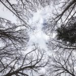 iPad10.2インチの無料壁紙～冬のイメージギャラリー～