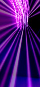 紫色の光4