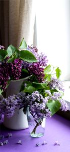 部屋に飾ったライラック2