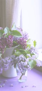 部屋に飾ったライラック1