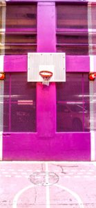 紫色のバスケットコート1