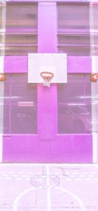 紫色のバスケットコート2