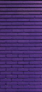 紫色のレンガの壁1