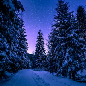 雪の森と星空2