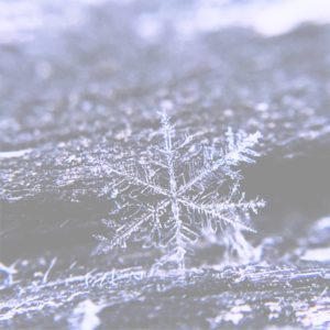 雪の結晶3