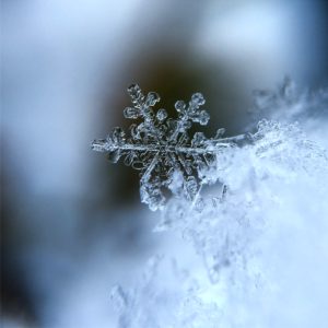 雪の結晶2
