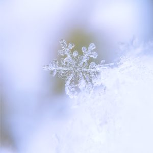 雪の結晶1