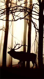森とトナカイのシルエット1