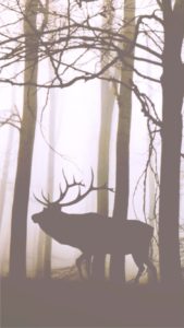 森とトナカイのシルエット2