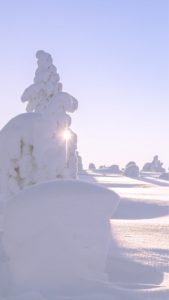 雪が積もった山1