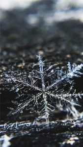 雪の結晶1