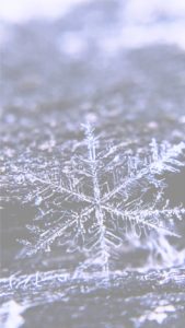 雪の結晶2
