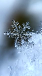 雪の結晶3