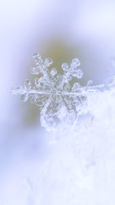 雪の結晶4