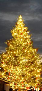 横浜赤煉瓦倉庫のクリスマスツリー1