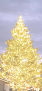 横浜赤煉瓦倉庫のクリスマスツリー2