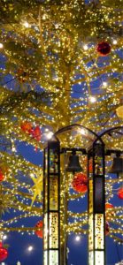 横浜赤煉瓦倉庫のクリスマスツリー3