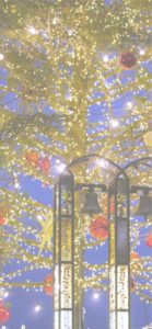 横浜赤煉瓦倉庫のクリスマスツリー4