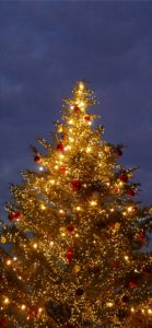 横浜赤煉瓦倉庫のクリスマスツリー5