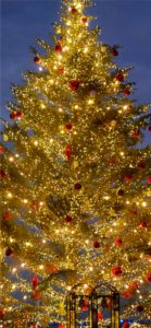 横浜赤煉瓦倉庫のクリスマスツリー7