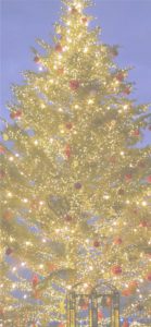 横浜赤煉瓦倉庫のクリスマスツリー8