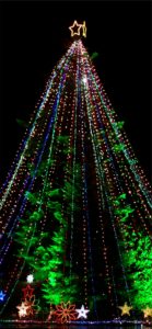 宮ヶ瀬ダムのクリスマスツリー1