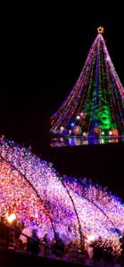 宮ヶ瀬ダムのクリスマスツリー5