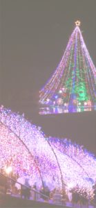 宮ヶ瀬ダムのクリスマスツリー6