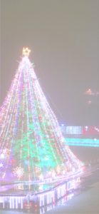 宮ヶ瀬ダムのクリスマスツリー8