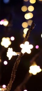 宮ヶ瀬ダムのクリスマス8