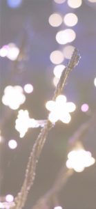 宮ヶ瀬ダムのクリスマス9